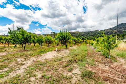 Farm i Valhelhas, Guarda, Valhelhas - € 189.900 | Ref: VIL_2071 - foto 11