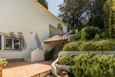 Villa i Cascais, Lisbon, Cascais - € 4.495.000 | Ref: WANTED_333 - foto 14