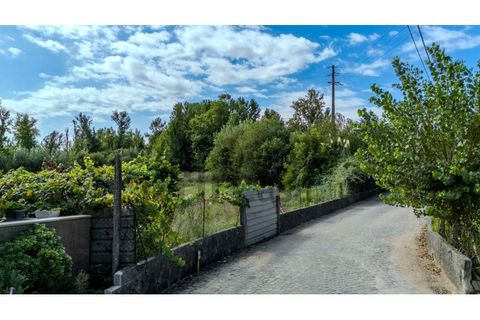 Helårsgrund i Braga, Braga, Braga - € 799.950 | Ref: 017-3256 - foto 17