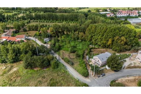 Helårsgrund i Braga, Braga, Braga - € 799.950 | Ref: 017-3256 - foto 18