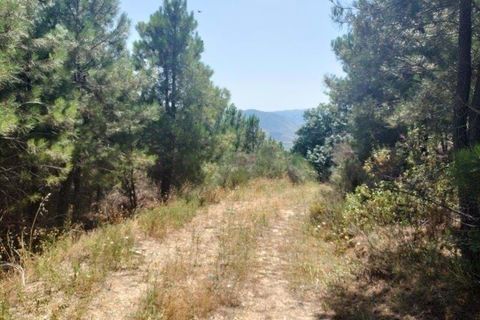Helårsgrund i Vila Real, Vila Real, Vila Real - € 330.000 | Ref: MM319/24VLR/RJ - foto 1