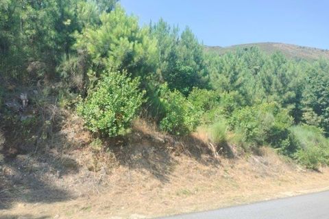 Helårsgrund i Vila Real, Vila Real, Vila Real - € 330.000 | Ref: MM319/24VLR/RJ - foto 6