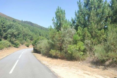 Helårsgrund i Vila Real, Vila Real, Vila Real - € 330.000 | Ref: MM319/24VLR/RJ - foto 7