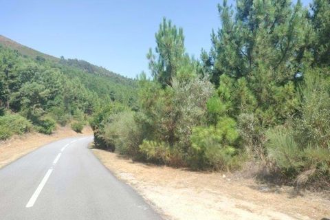 Helårsgrund i Vila Real, Vila Real, Vila Real - € 330.000 | Ref: MM319/24VLR/RJ - foto 1