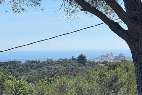 Villa i Ostuni, Brindisi, Ostuni - € 250.000 | Ref: 804 - foto 2