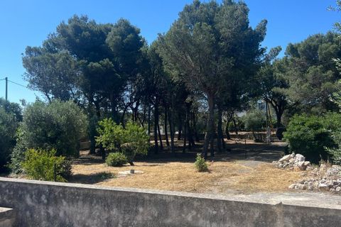 Villa i Ostuni, Brindisi, Ostuni - € 250.000 | Ref: 804 - foto 5
