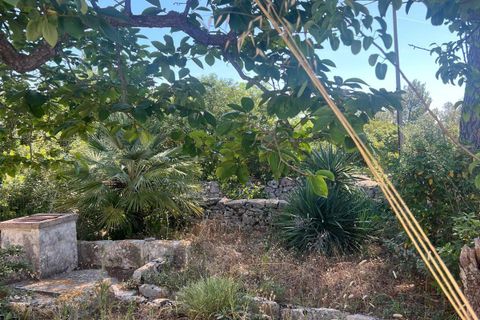 Villa i Ostuni, Brindisi, Ostuni - € 250.000 | Ref: 804 - foto 12