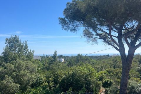 Villa i Ostuni, Brindisi, Ostuni - € 250.000 | Ref: 804 - foto 14