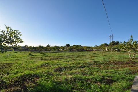 Villa i Ostuni, Brindisi, Ostuni - € 290.000 | Ref: 793 - foto 3