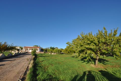 Villa i Ostuni, Brindisi, Ostuni - € 290.000 | Ref: 793 - foto 4