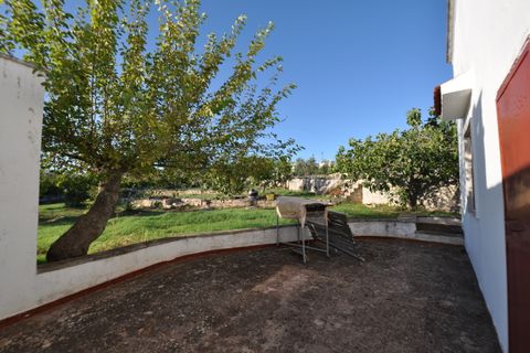 Villa i Ostuni, Brindisi, Ostuni - € 290.000 | Ref: 793 - foto 19