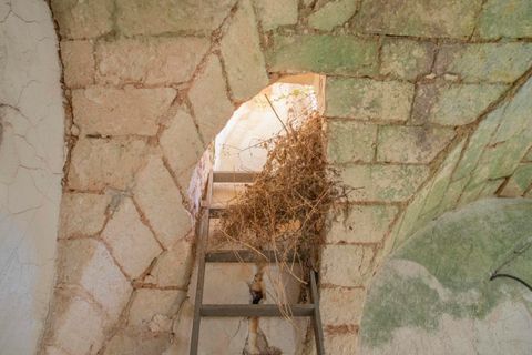 Villa i Ostuni, Brindisi, Ostuni - € 145.000 | Ref: 531 - foto 16