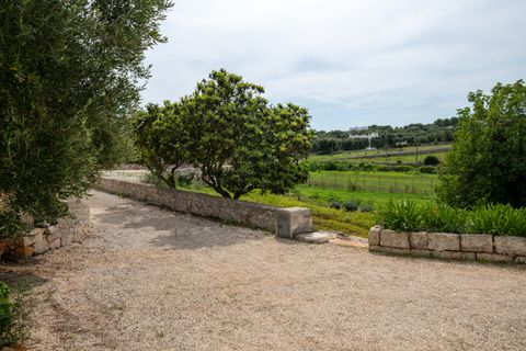 Villa i Ostuni, Brindisi, Ostuni - € 485.000 | Ref: 798 - foto 8