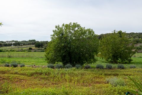 Villa i Ostuni, Brindisi, Ostuni - € 485.000 | Ref: 798 - foto 9