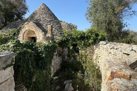 Villa i Ostuni, Brindisi, Ostuni - € 95.000 | Ref: 802 - foto 4