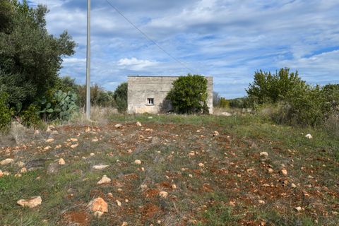 Villa i Ostuni, Brindisi, Ostuni - € 250.000 | Ref: 799 - foto 11