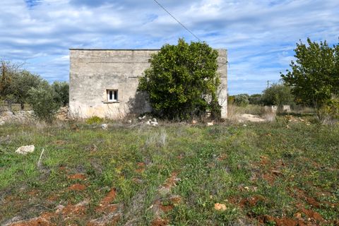 Villa i Ostuni, Brindisi, Ostuni - € 250.000 | Ref: 799 - foto 12