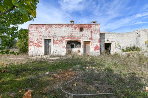 Villa i Ostuni, Brindisi, Ostuni - € 250.000 | Ref: 799 - foto 13