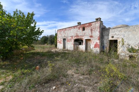 Villa i Ostuni, Brindisi, Ostuni - € 250.000 | Ref: 799 - foto 16