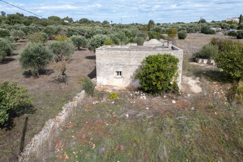 Villa i Ostuni, Brindisi, Ostuni - € 250.000 | Ref: 799 - foto 31