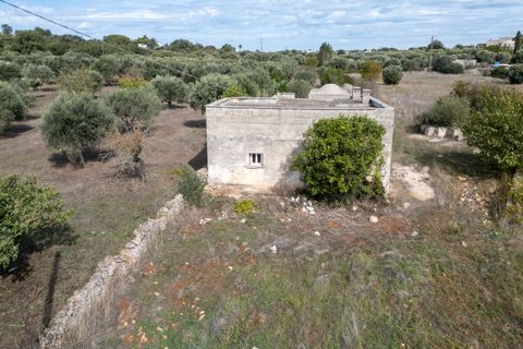 Villa i Ostuni, Brindisi, Ostuni - € 250.000 | Ref: 799 - foto 43