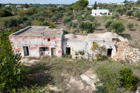 Villa i Ostuni, Brindisi, Ostuni - € 250.000 | Ref: 799 - foto 45