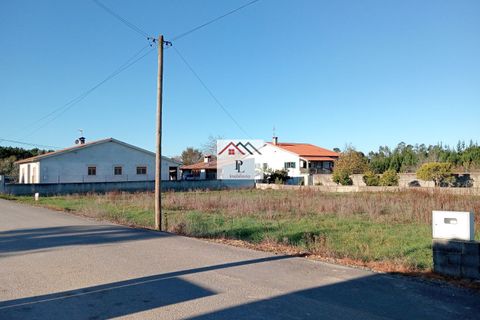 Helårsgrund i Cantanhede, Coimbra, Cantanhede - € 45.000 | Ref: V903MS - foto 2