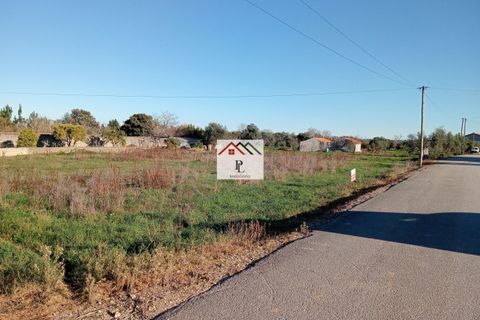 Helårsgrund i Cantanhede, Coimbra, Cantanhede - € 45.000 | Ref: V903MS - foto 3
