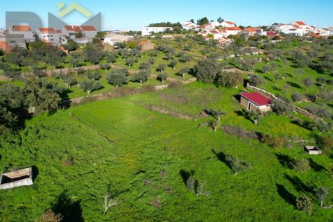 Farm i Perais, Castelo Branco, Perais - € 35.000 | Ref: 4801 - foto 2