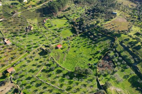 Farm i Perais, Castelo Branco, Perais - € 35.000 | Ref: 4801 - foto 3
