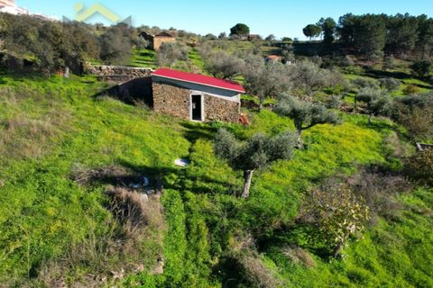Farm i Perais, Castelo Branco, Perais - € 35.000 | Ref: 4801 - foto 4