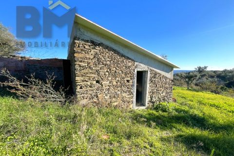 Farm i Perais, Castelo Branco, Perais - € 35.000 | Ref: 4801 - foto 5