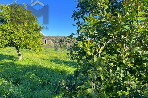 Farm i Perais, Castelo Branco, Perais - € 35.000 | Ref: 4801 - foto 8