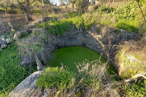 Farm i Perais, Castelo Branco, Perais - € 35.000 | Ref: 4801 - foto 13