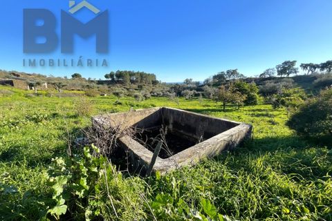 Farm i Perais, Castelo Branco, Perais - € 35.000 | Ref: 4801 - foto 14
