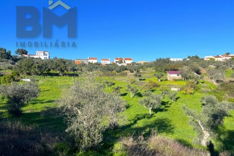 Farm i Perais, Castelo Branco, Perais - € 35.000 | Ref: 4801 - foto 15