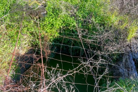 Farm i Perais, Castelo Branco, Perais - € 35.000 | Ref: 4801 - foto 17
