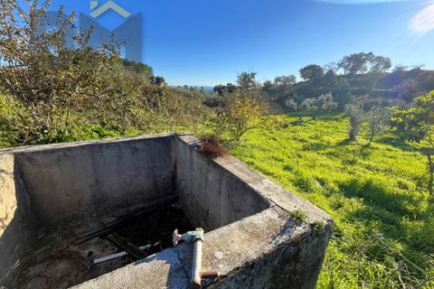 Farm i Perais, Castelo Branco, Perais - € 35.000 | Ref: 4801 - foto 18