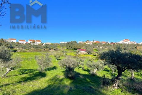 Farm i Perais, Castelo Branco, Perais - € 35.000 | Ref: 4801 - foto 19