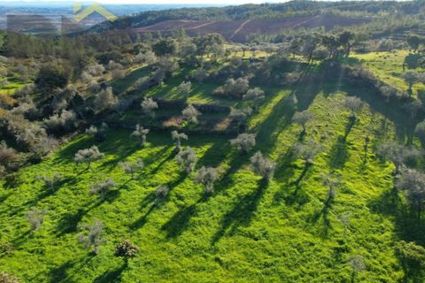 Farm i Perais, Castelo Branco, Perais - € 35.000 | Ref: 4801 - foto 20