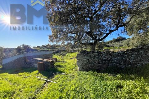 Farm i Perais, Castelo Branco, Perais - € 35.000 | Ref: 4801 - foto 23