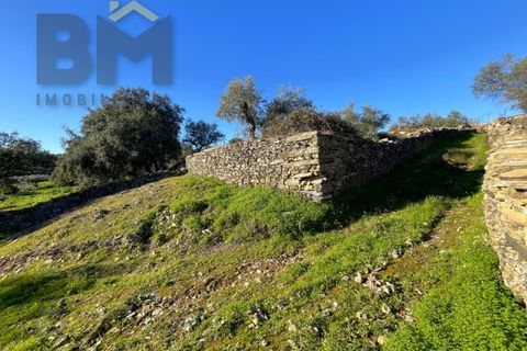 Farm i Perais, Castelo Branco, Perais - € 35.000 | Ref: 4801 - foto 24