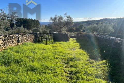 Farm i Perais, Castelo Branco, Perais - € 35.000 | Ref: 4801 - foto 25