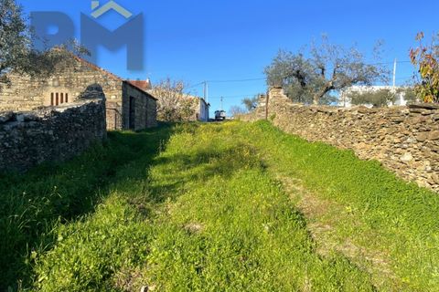 Farm i Perais, Castelo Branco, Perais - € 35.000 | Ref: 4801 - foto 26