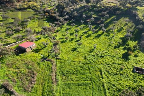 Farm i Perais, Castelo Branco, Perais - € 35.000 | Ref: 4801 - foto 27