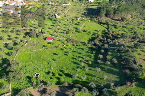 Farm i Perais, Castelo Branco, Perais - € 35.000 | Ref: 4801 - foto 28