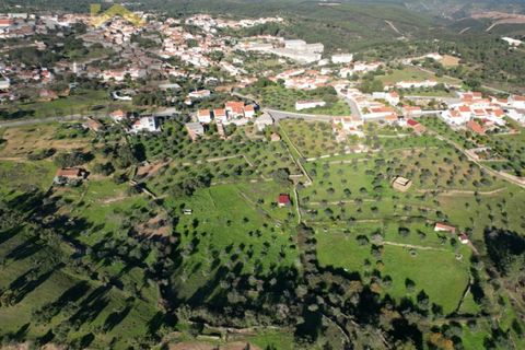 Farm i Perais, Castelo Branco, Perais - € 35.000 | Ref: 4801 - foto 29