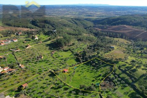 Farm i Perais, Castelo Branco, Perais - € 35.000 | Ref: 4801 - foto 30