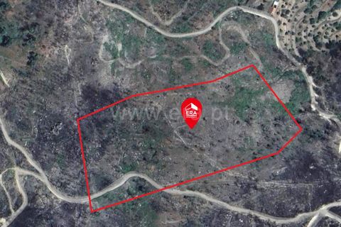 Helårsgrund i Guarda, Guarda, Guarda - € 27.000 | Ref: 046240286 - foto 2