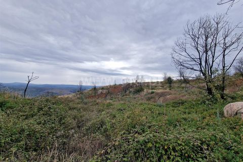 Helårsgrund i Guarda, Guarda, Guarda - € 27.000 | Ref: 046240286 - foto 3